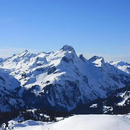 アパート Arlberg-ferienwohnungen Schröcken