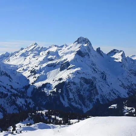Arlberg-ferienwohnungen アパート